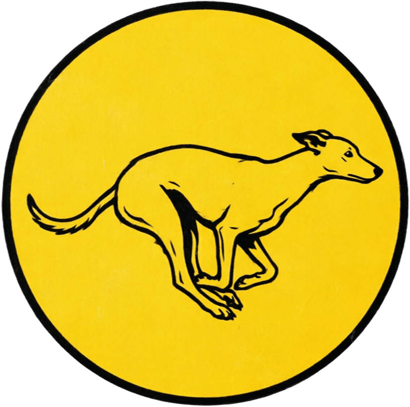 Dogracingfastresults